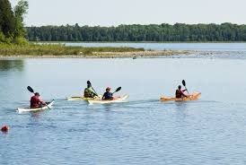 Outdoor Adventures in Ocean City: From Water Sports to Hiking Trails